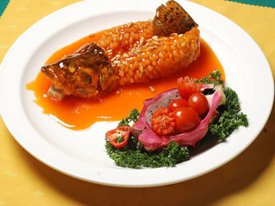 002564a17b730fa3608527