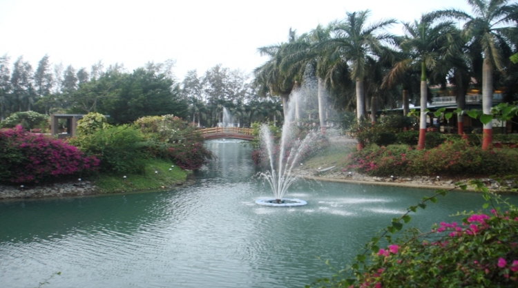Mirasol Lake Garden_440.jpg
